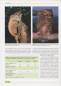 Preview: Taxonomy, Life History and Conservation of Giant Reptiles in West Kalimantan